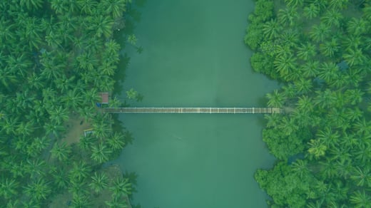 A Guide to Xero Batch Processing